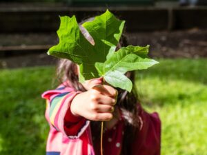 Photo of a child holding a leaf