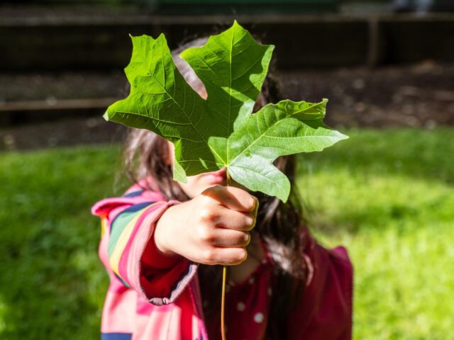 Photo of a child holding a leaf