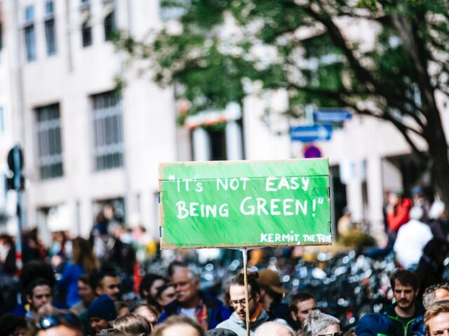 Photo of its not easy being green banner