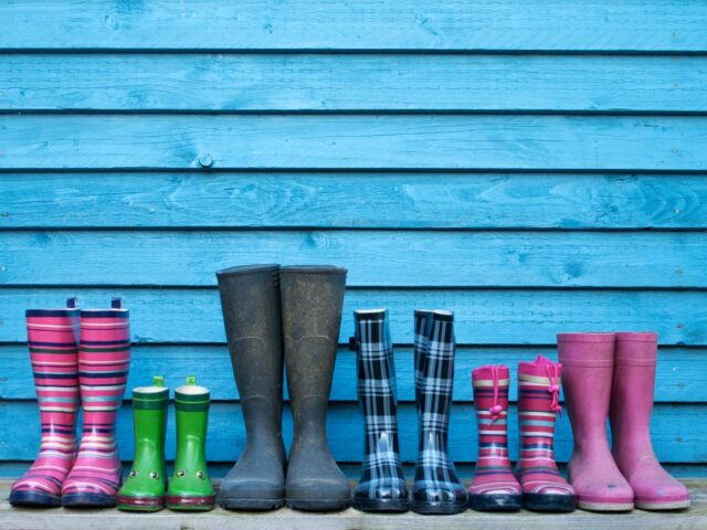 Photo of wellies lined up
