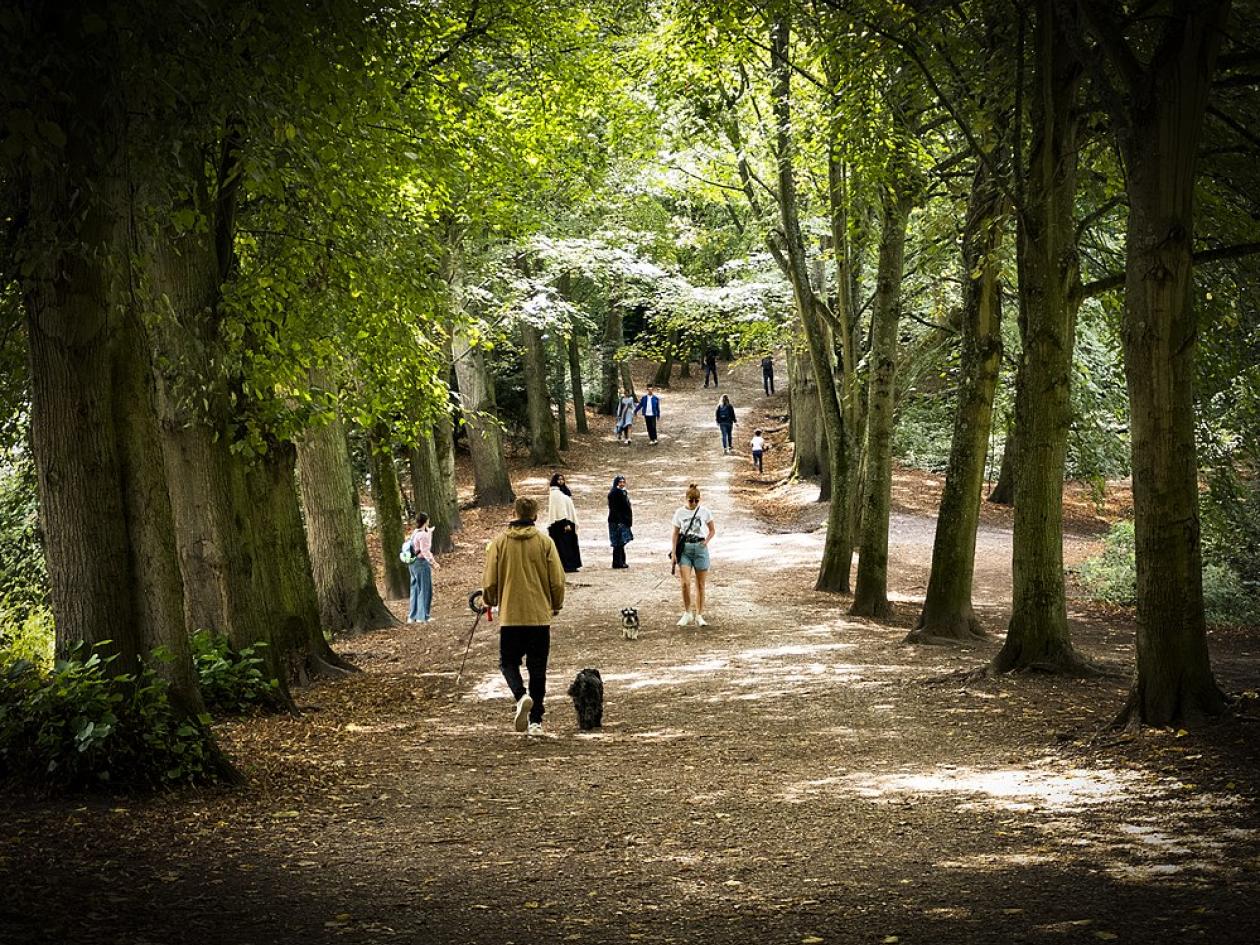 people walking on a path through hampstead heath