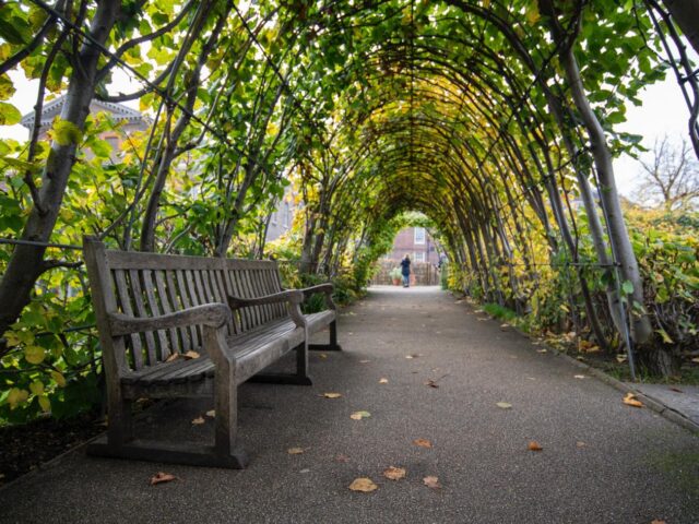 Photo of park with bench