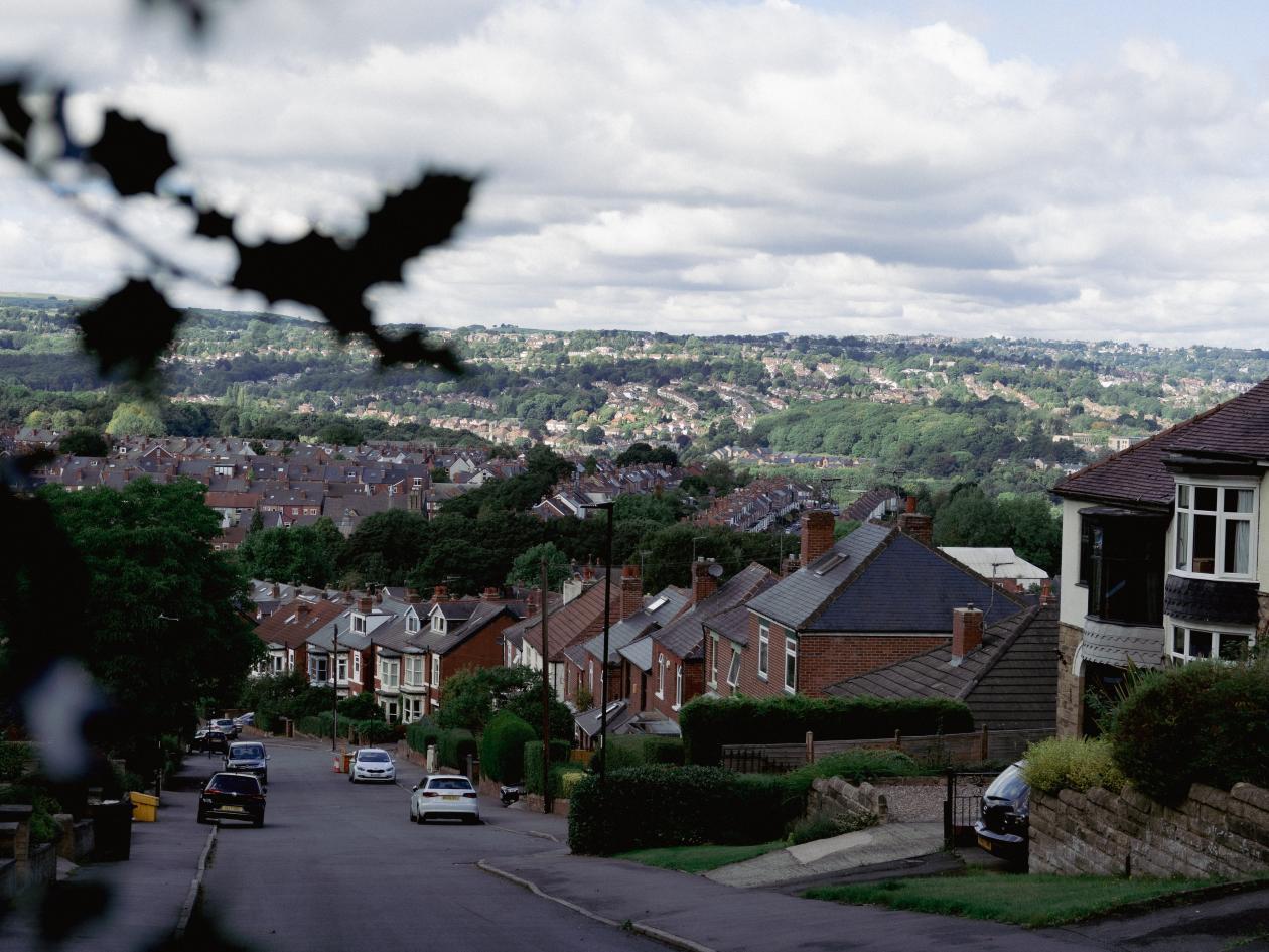 A view of a residential street lined with houses and greenery, leading down a hill.