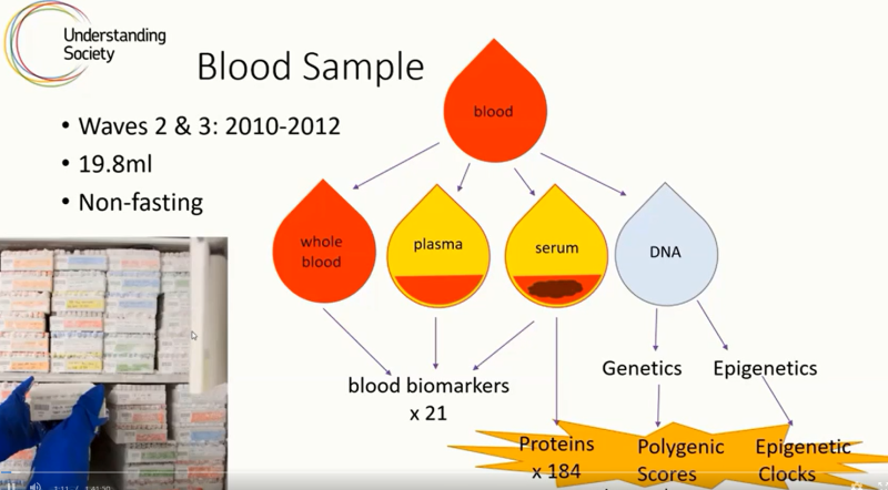 slide showing different types of omics data derived from the blood sample collected from participants in Waves 2 and 3 of Understanding Society
