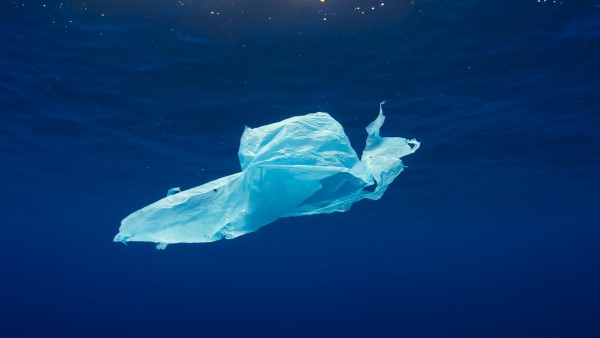 plastic bag flating in a blue sea - Photo by Oleksandr Sushko on Unsplash